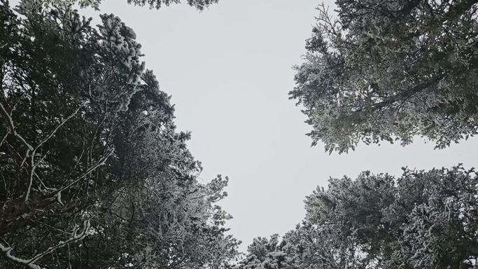 Gentle Groove... feat. GuDa